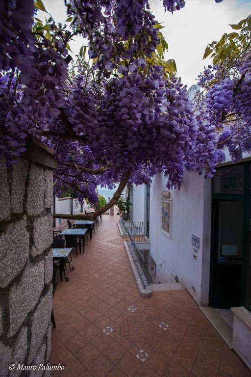 Hotel 4 Stagioni Capri Exterior foto