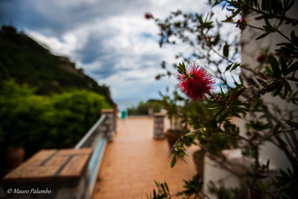 Hotel 4 Stagioni Capri Exterior foto