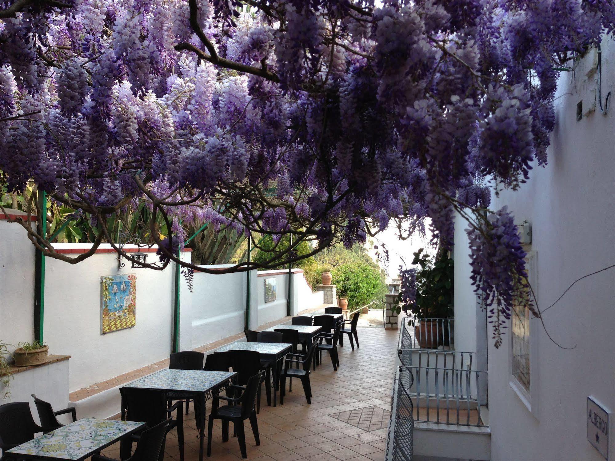 Hotel 4 Stagioni Capri Exterior foto